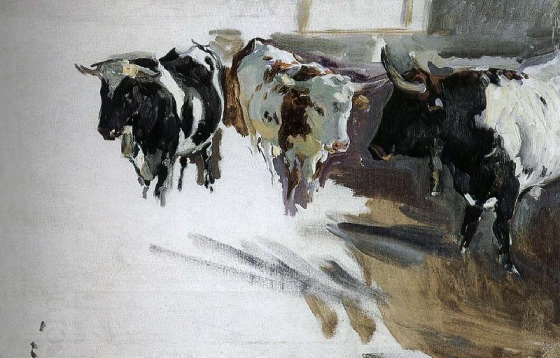 Joaquin Sorolla Bull Project oil painting picture